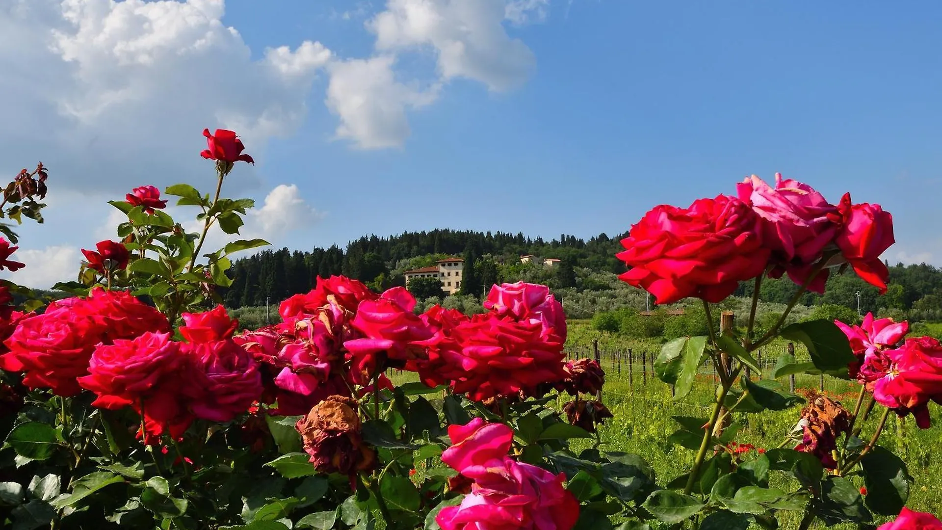 Villa Silvia Rignano Sull Arno